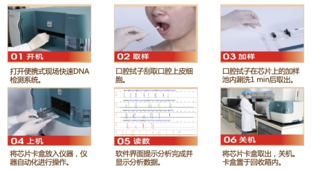 基于全集成微流控芯片的自動(dòng)化法醫(yī)DNA檢測流程